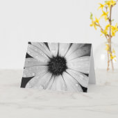 Afrikaanse Daisy in Zwart-wit Kaart (Gele Bloem)