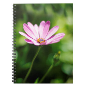 Afrikaanse daisy notitieboek