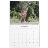 Afrikaanse dieren 2025 Grote Kalender (Jan 2027)