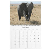 Afrikaanse dieren 2025 Grote Kalender (Mar 2026)