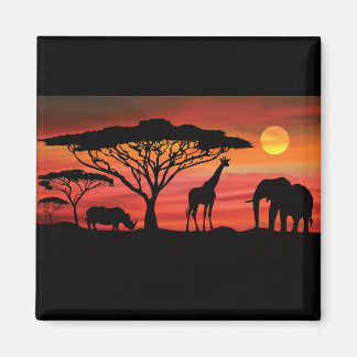 Afrikaanse dieren en zonneschijn magneet