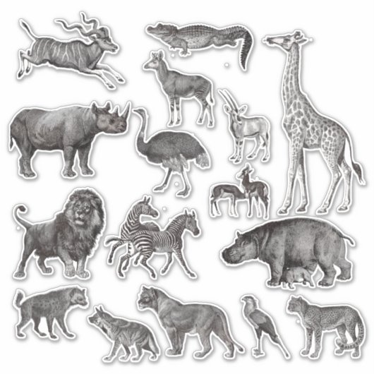 Afrikaanse dieren Illustraties Sticker (Voorkant)