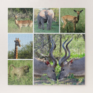 afrikaanse dieren legpuzzel