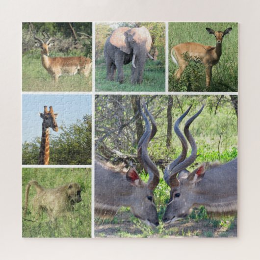 afrikaanse dieren legpuzzel (Horizontaal)