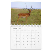 Afrikaanse dierkalender kalender (Feb 2026)