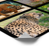 Afrikaanse diermozaïek poster (Hoek)