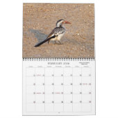 AFRIKAANSE FOTO SAFARI KALENDER (Feb 2026)