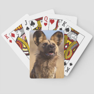 Afrikaanse Gekleurde Wilde Hond Speelkaarten