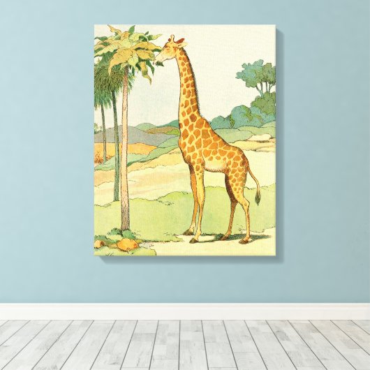 Afrikaanse Giraffe die Acacia eet Canvas Afdruk (Insitu (Houten vloer))