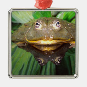 Afrikaanse graveer kikker, Pyxicephalus 2 Metalen Ornament
