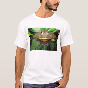 Afrikaanse graveer kikker, Pyxicephalus 2 T-shirt