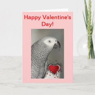 Afrikaanse Gray Parrot Happy Valentine's Day Card Feestdagen Kaart