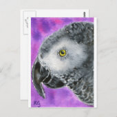 Afrikaanse grijs briefkaart (Voorkant / Achterkant)