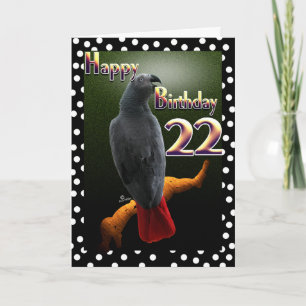 Afrikaanse Grijze Congo papegaai polka dots 22e ve Kaart