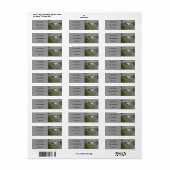 Afrikaanse grijze lakeside etiket (Full Sheet)