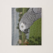 Afrikaanse grijze lakeside legpuzzel (Verticaal)