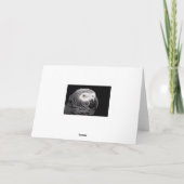 Afrikaanse grijze papegaai bedankkaart (Achterkant)