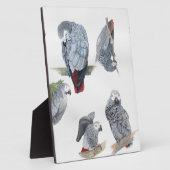 Afrikaanse grijze papegaai. Exclusief ontworpen do Fotoplaat (Zijkant)