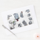 Afrikaanse grijze papegaai. Exclusief ontworpen do Rechthoekige Sticker (Envelop)