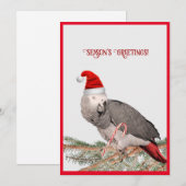 Afrikaanse Grijze Papegaai Plat Vakantiekaart Feestdagenkaart (Voorkant / Achterkant)