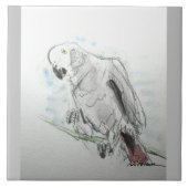 Afrikaanse grijze papegaai tegeltje (Voorkant)