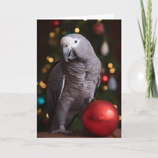 Afrikaanse grijze papegaai vakantie kaarten (Voorkant)