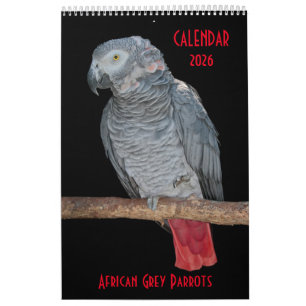 Afrikaanse grijze papegaaien kalender