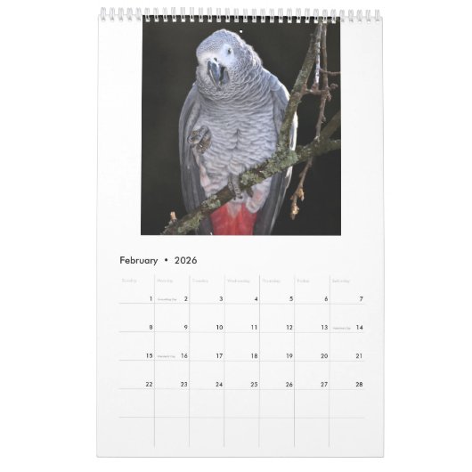 Afrikaanse grijze papegaaien kalender (Feb 2026)
