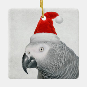 Afrikaanse Grijze Parrot Kerstversiering Keramisch Ornament