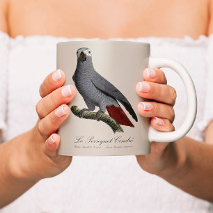 Afrikaanse grijze roodstaartpapegaai, Psittacus er Koffiemok