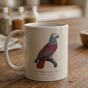 Afrikaanse Grijze Roodstaartpapegaai Psittacus Eri Koffiemok