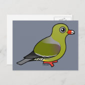 Afrikaanse groene duif briefkaart (Voorkant / Achterkant)