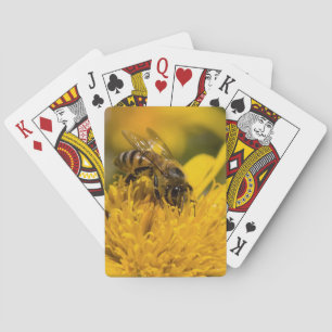Afrikaanse honingbij met stuifmeelzakjes die voedi pokerkaarten