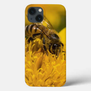 Afrikaanse honingbijen met stuifmeel iPhone 13 hoesje