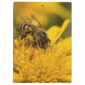 Afrikaanse honingbijen met stuifmeelvoeding klembord (Achterkant)