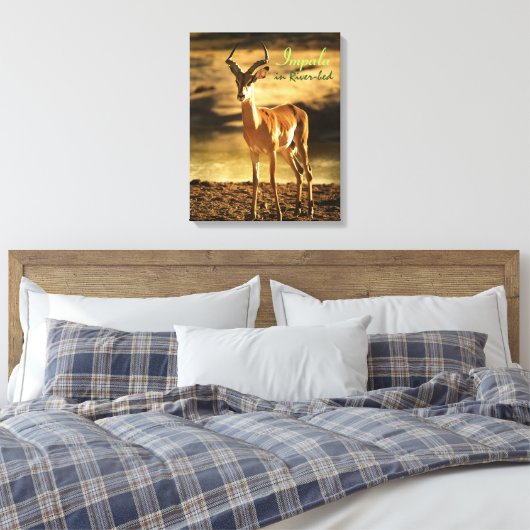 Afrikaanse impala in de rivierbedding canvas afdruk (Insitu (Slaapkamer))