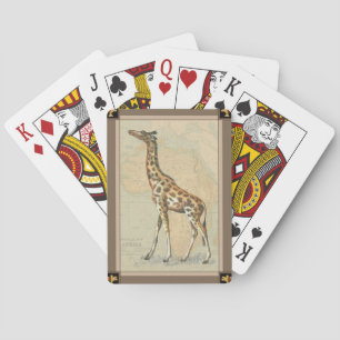 Afrikaanse kaart en een Giraffe