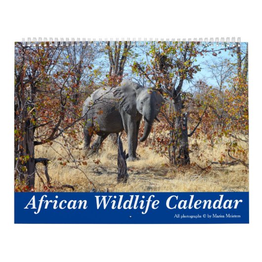 Afrikaanse kalender voor wilde dieren (Hoes)