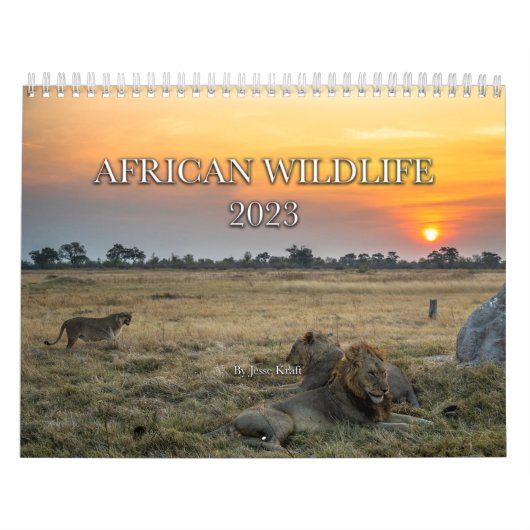 Afrikaanse kalender voor wilde dieren (Hoes)