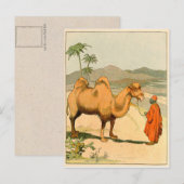 Afrikaanse kamel- en woestijnreiziger briefkaart (Voorkant / Achterkant)