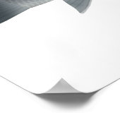 Afrikaanse karper poster (Hoek)