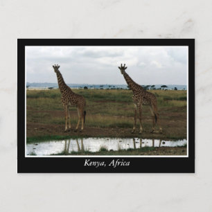 Afrikaanse Kenia: wilde dieren Briefkaart