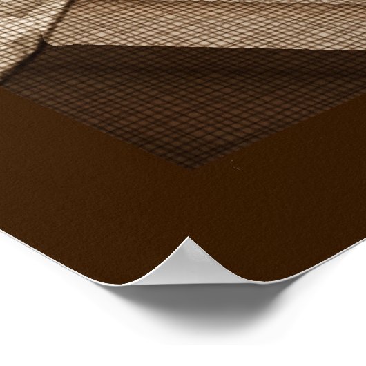 Afrikaanse kleuren poster (Hoek)