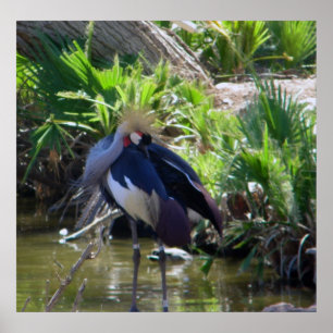 Afrikaanse kraanafdruk poster