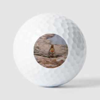 Afrikaanse krokodil - Masai-rivier Golfballen