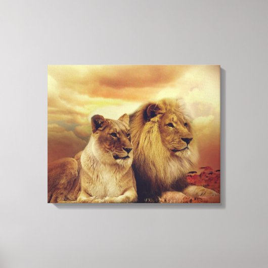 Afrikaanse leeuw en leeuwen canvas afdruk (Voorkant)