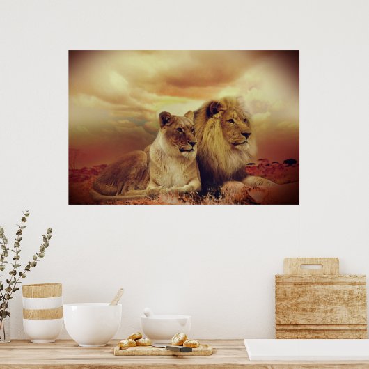 Afrikaanse leeuw en leeuwen poster (Keuken)