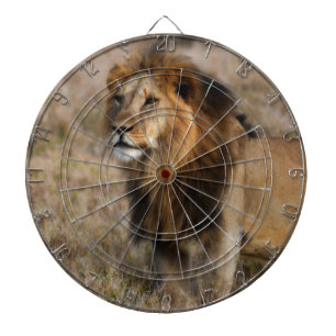 Afrikaanse leeuw in Grass Dartbord