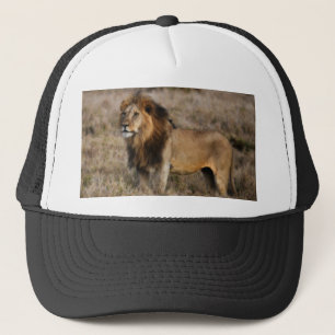 Afrikaanse leeuw in Grass Trucker Pet