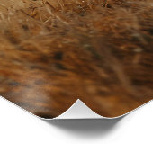 Afrikaanse leeuw & Kilimanjaro Perfect Poster (Hoek)